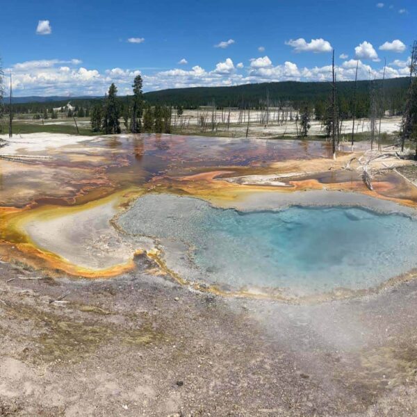 Hot spring in Norris Geyser Basin in Yellowstone National Park. Taken on a Teton Excursions tour of Yellowstone National Park.