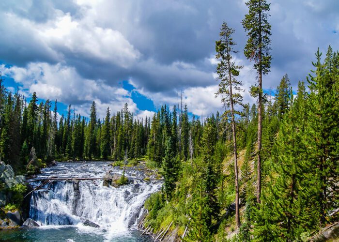 Gibbon Falls in Yellowstone National Park. Taken on a Teton Excursions tour of Yellowstone National Park.