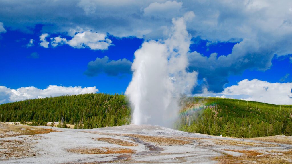 Old Faithful geyser and rainbow, Yellowstone National Park. Taken on a Teton Excursions tour of Yellowstone National Park.