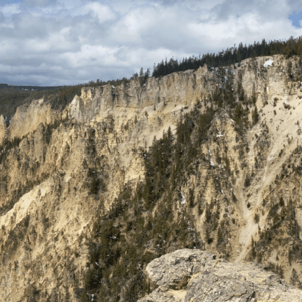 Yellowstone Falls and the Grand Canyon of the Yellowstone from Artist Point. Taken on a private tour with Teton Excursions in Yellowstone National Park.