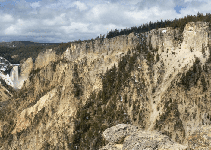 Yellowstone Falls and the Grand Canyon of the Yellowstone from Artist Point. Taken on a private tour with Teton Excursions in Yellowstone National Park.