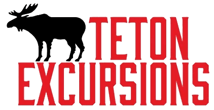 Teton Excursions - Private Tours of Yellowstone